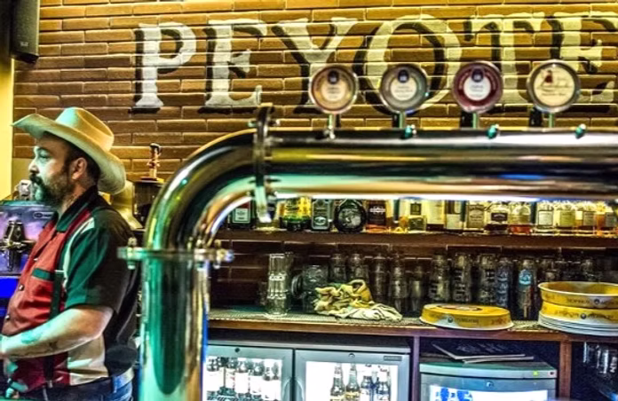 Il bancone del Peyote Cafe